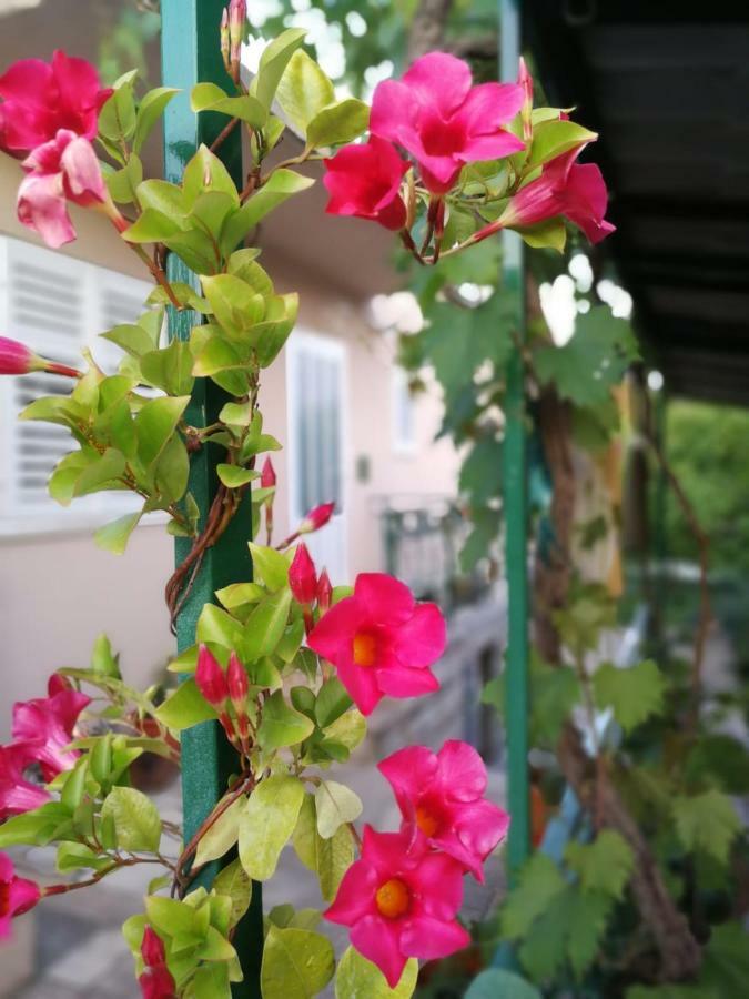 Sunny House Apartment Korcula Town Luaran gambar